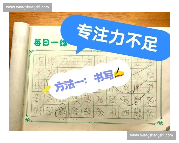 全神贯注的力量：如何在日常生活中提升专注力与效率